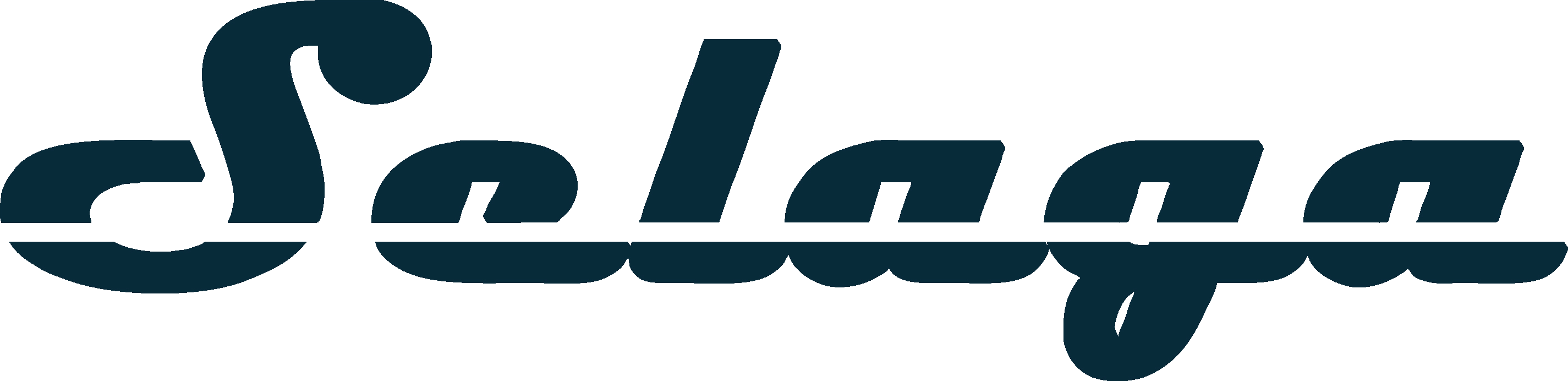 Selaga GmbH